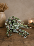 Kunstplant Ceropegia Woodii