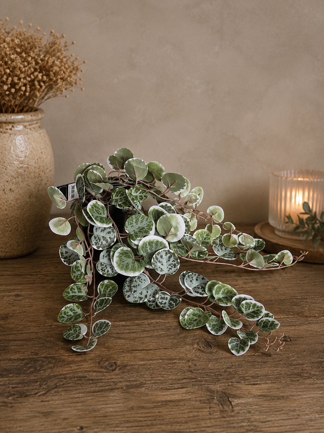 Kunstplant Ceropegia Woodii